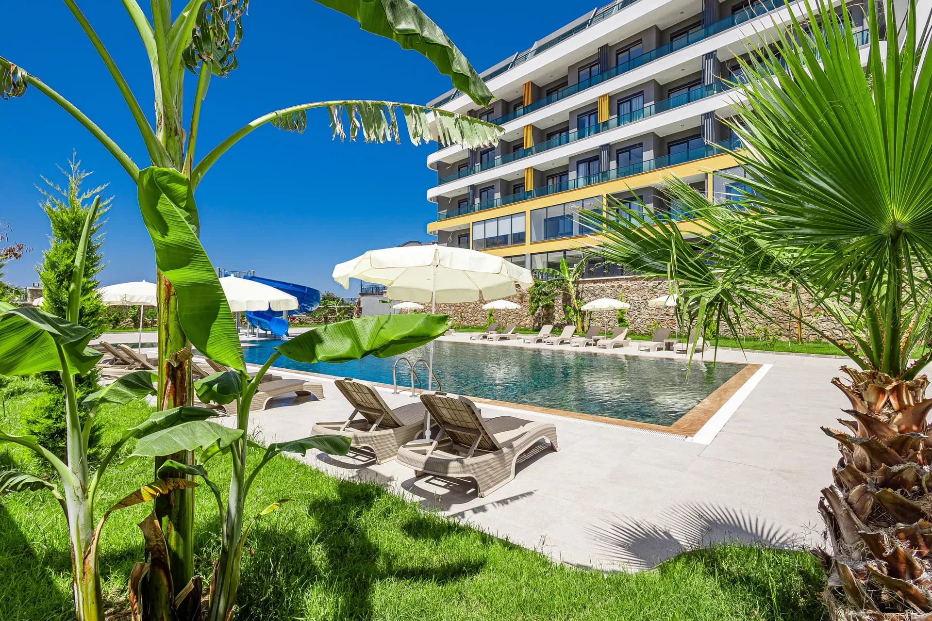 Vega Icon Residence: Vega Icon Residence pool framed by palm trees